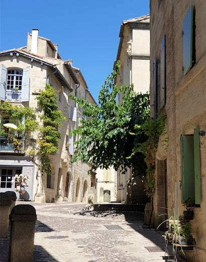 Le Restaurant - Le Bistrot des Souris - Uzès - Manger a Uzes